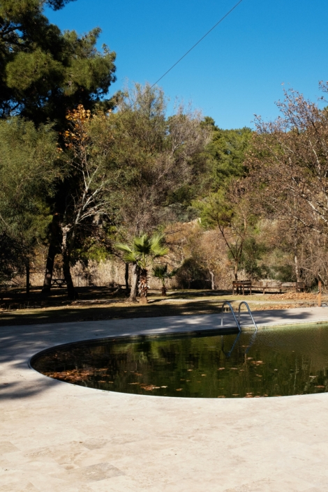 algas en la piscina mallorca